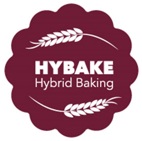 Hybake logo